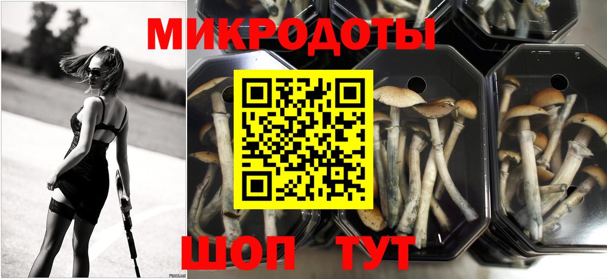 купить   Вход с VPN  Изобильный  Псилоцибиновые грибы Magic Shrooms 